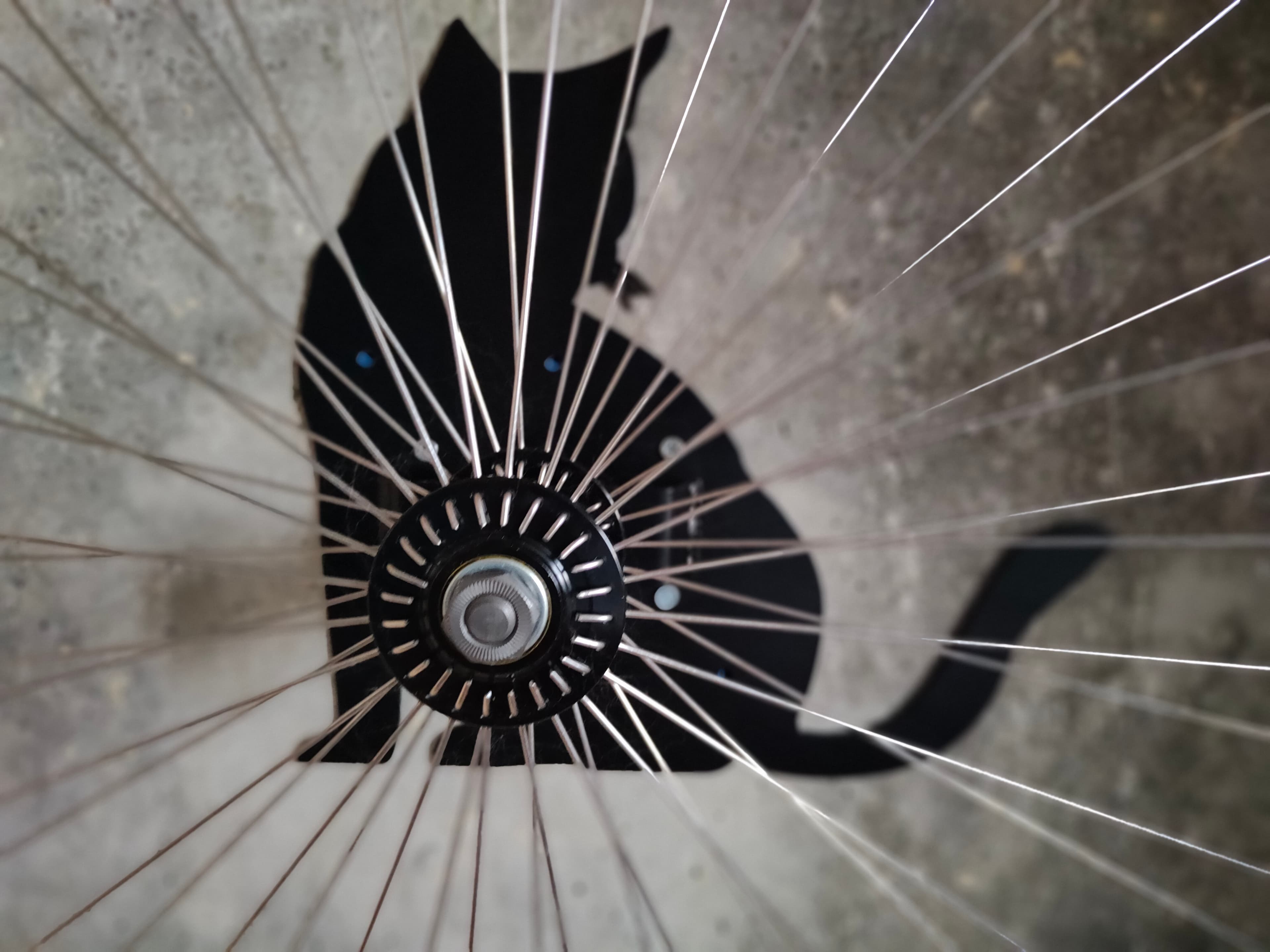 Silent central BMX hub mechanism with stainless steel spokes for cat exercise wheel